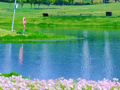 -洋湖国家湿地公园