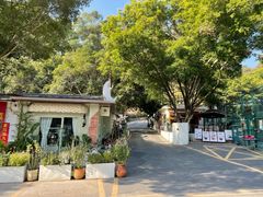 -火炉山森林公园