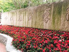 -黄桷坪涂鸦艺术街