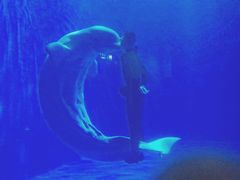 -多彩贵州城极地海洋世界