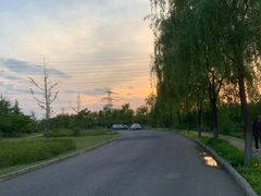 -洨河生态公园