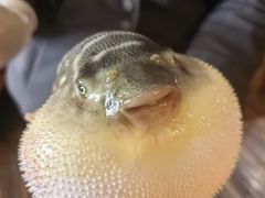 -永安鱼庄·镇江菜(丁卯店)