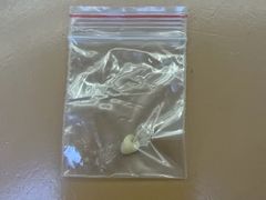 -天使口腔门诊部(上海店)