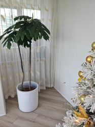 -HEYAN荷妍专业脱毛连锁机构