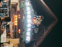 -苏州乐园森林水世界