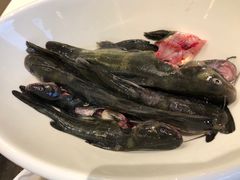 -浣花锦绣(杜甫草堂店)