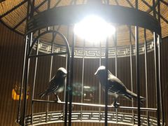 景观位-博山菜·大厨烙馍村(金乔社区店)