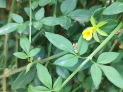 -莲池书院博物馆