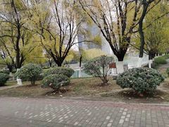 -天鹅湖体育公园