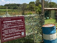 -梁子湖东篱老屋生态庄园