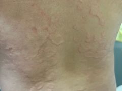 -江湾体育中心游泳馆