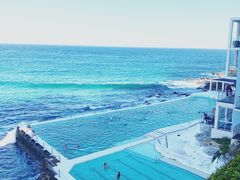 -The Grounds of Alexandria