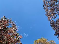 -临平公园(临平街道)