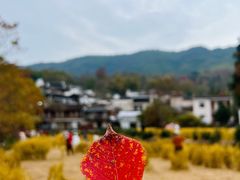 -塔川景区