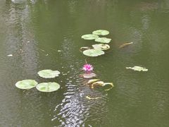 -黄埔古港