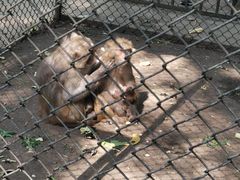 -长白岛森林公园