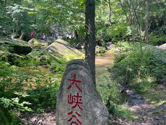 -茅兰沟国家森林公园