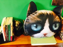 -李小姐の猫咖啡馆(五角场店)