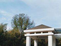 -春兰国宾馆(凤城河风景区老街店)