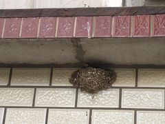 -康陵正德春饼宴26号