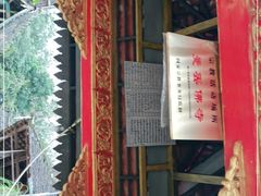 -曼丢傣家古寨