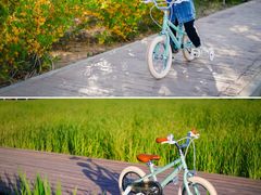 -永定河休闲森林公园