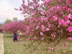 -白水寺森林公园