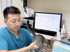 -美联众合爱康动物医院•复杂内科•肿瘤科•牙科•腔镜诊疗中心