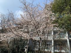 -天目湖御水温泉·度假酒店