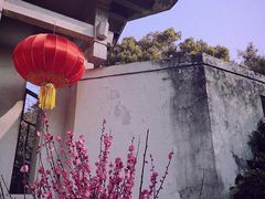 -无锡梅园公园