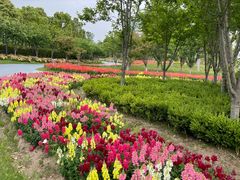 -春花秋色城市公园