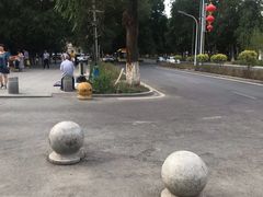 -苏氏牛肉面(北京南路店)