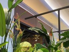 -同仁四季椰子鸡(宝安壹方城店)