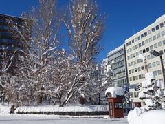 -北海道厅旧本厅舍(旧本庁舎)