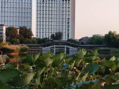 -西海子公园