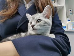 -佳怡动物医院·平价24小时·猫专科骨外科