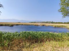 -野鸭湖国家湿地公园