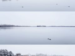 -颐和园