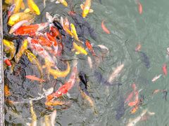 -西安华清御汤酒店