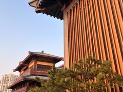 -银雀山汉墓竹简博物馆