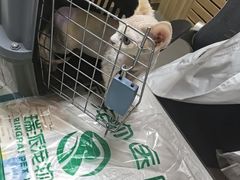 -瑞派宠物医院·24h·骨外科·皮肤科·全科宠物医疗转诊中心(沈阳浑南院)