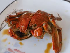 -蟹天蟹地农家菜·阳澄湖大闸蟹(浅水湾店)
