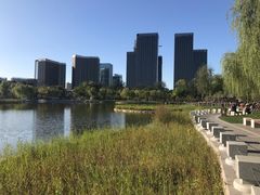 -西海子公园