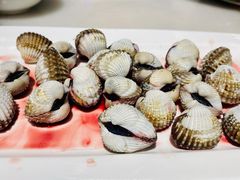 血蛤-华盛丰温州大排档(东三环南路店)