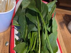 -宽窄巷子鲜牛火锅(北京首店)