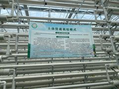 -兰陵国家农业公园