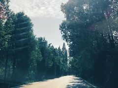 -武汉世外桃源农庄