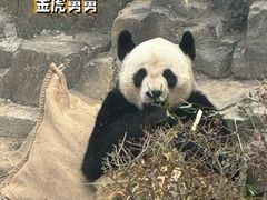 -大连森林动物园