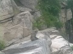 -崂山仰口游览区