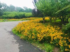 -永定河休闲森林公园